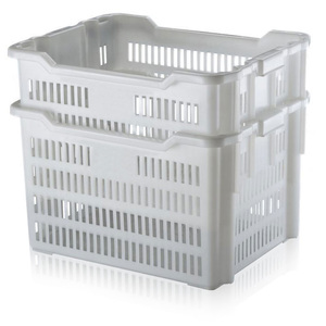 Contenitori per pane DG200221BI inseriti